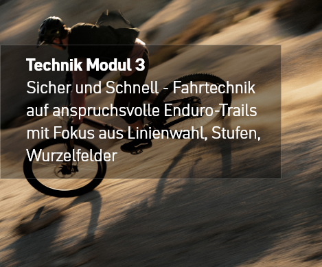 bicycle, mountain bike, wheel, motion, frame